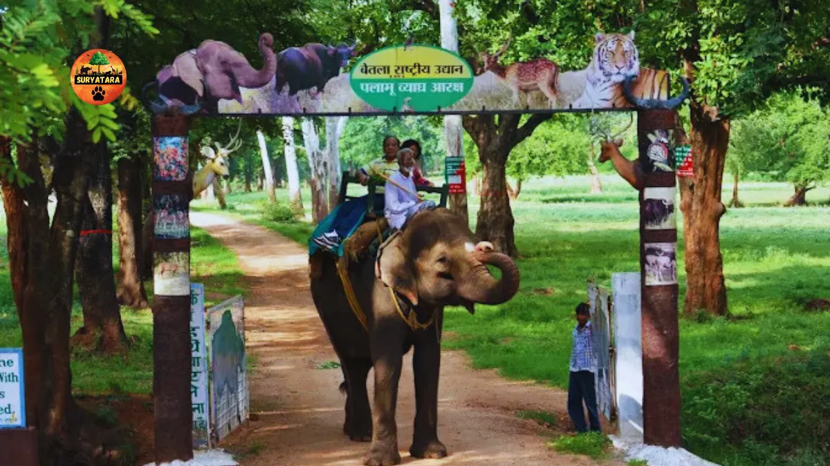 Betla National Park Itinerary